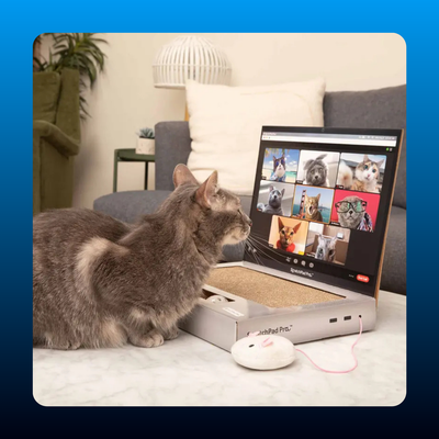 Cardboard Laptop Cat Scratcher