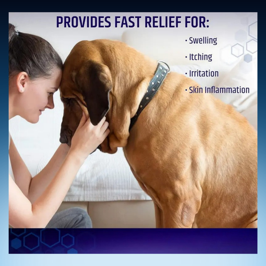 Hydrocortisone Spray – Itch Relief, Hot Spot Treatment, and Skin Irritation Solution