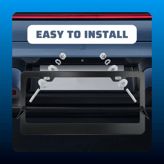 Spike Anti-Theft License Plate Screws