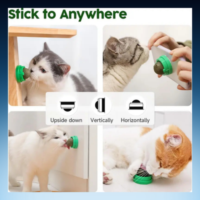 Catnip Licking Toy Balls for Cats (3 Pack)