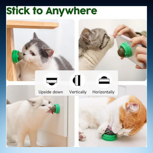 Catnip Licking Toy Balls for Cats (3 Pack)