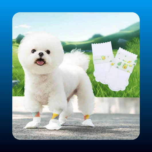 20 Counts Waterproof Disposable Dog Booties