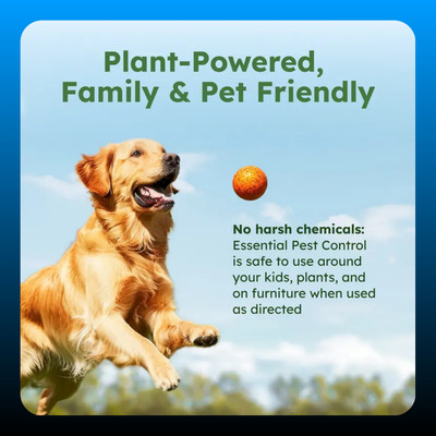 Pest Control Concentrate