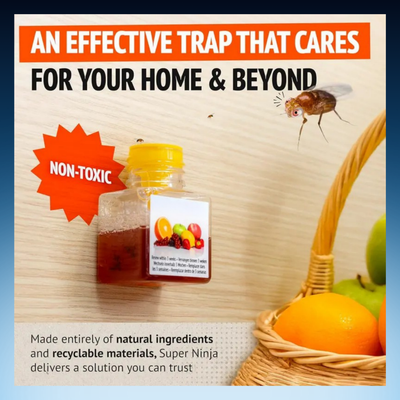 Natural Fruit Fly Traps (4 Packs)