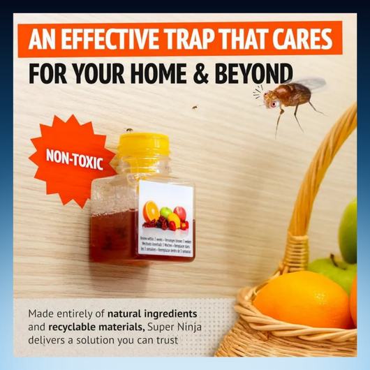 Natural Fruit Fly Traps (4 Packs)