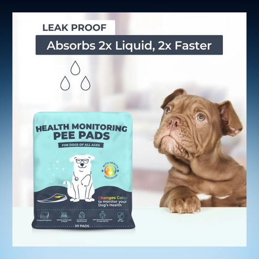 Health Monitoring Pet Pee Pads
