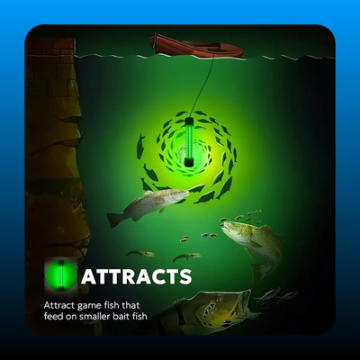 Submersible Dock Attractant Light