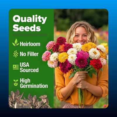 Dahlia Zinnia Heirloom Flower Seeds (524 Seeds)
