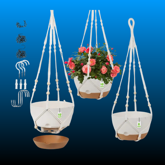 3 Pack Hanging Planters for Indoor Plants