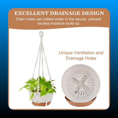 3 Pack Hanging Planters for Indoor Plants