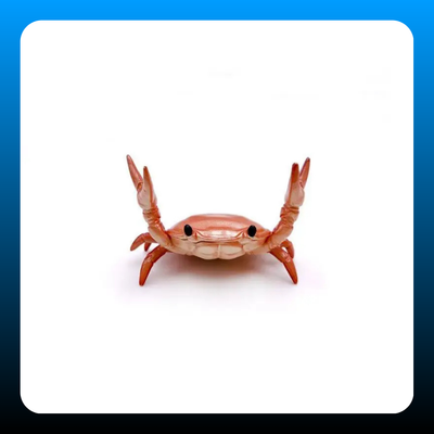 Realistic Crab-Shaped Pen Holder