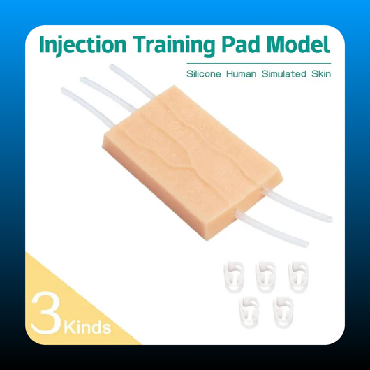 Nursing Blood Drawing Training Model