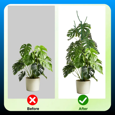 6 Pack Stackable Plant Support Branches