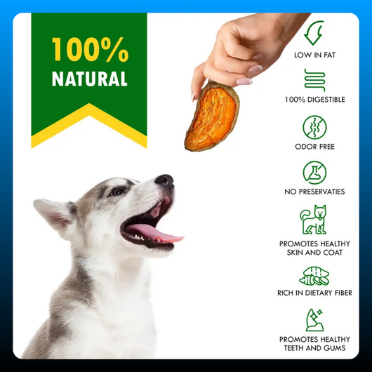 Sweet Potato Dog Treats Chips