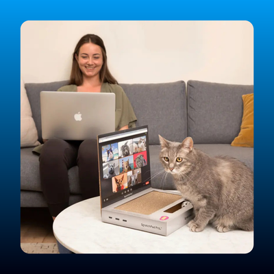 Cardboard Laptop Cat Scratcher