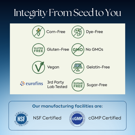 Mushroom Sleep Gummies – Melatonin Free, With Saffron for Deep Rest