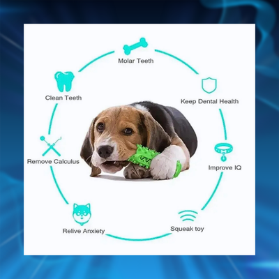 Dog Toothbrush Chew Toy