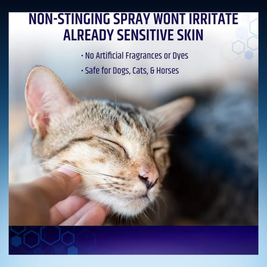 Hydrocortisone Spray – Itch Relief, Hot Spot Treatment, and Skin Irritation Solution
