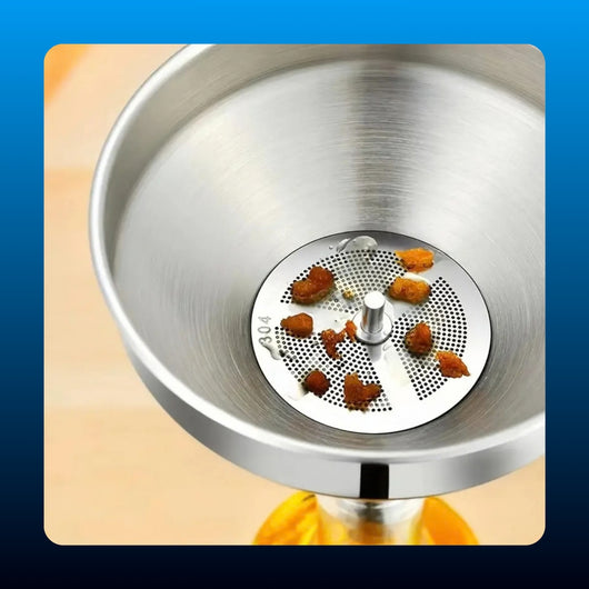 Stainless Funnel with Removable Filter