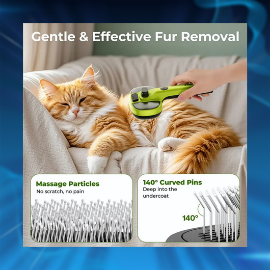 Pet Spray Hair Removal Brush