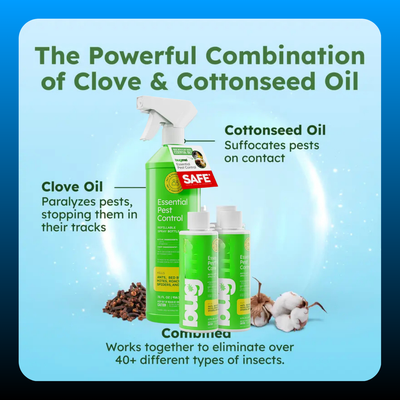 Pest Control Concentrate