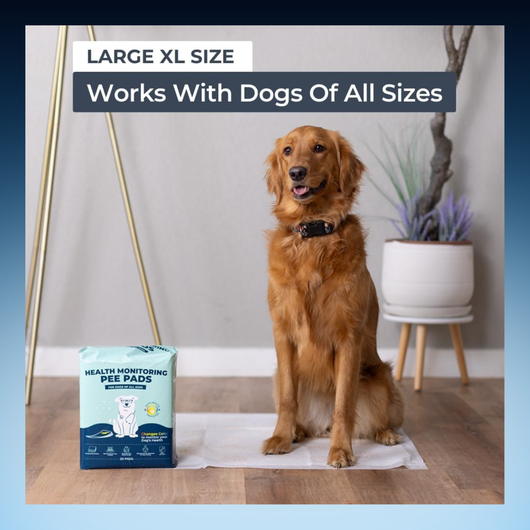 Health Monitoring Pet Pee Pads