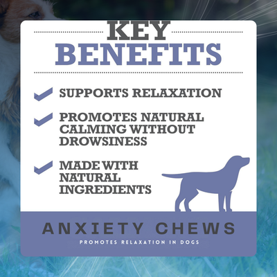 Anxiety Chews for Dogs