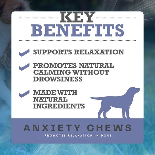 Anxiety Chews for Dogs
