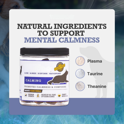 Anxiety Chews for Dogs