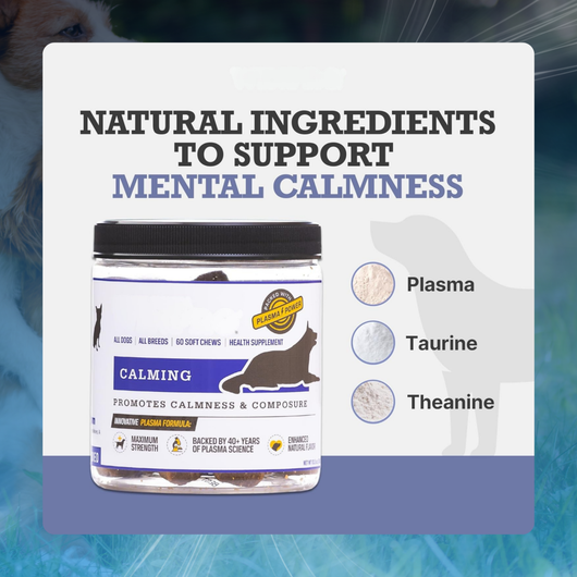 Anxiety Chews for Dogs