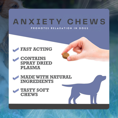 Anxiety Chews for Dogs