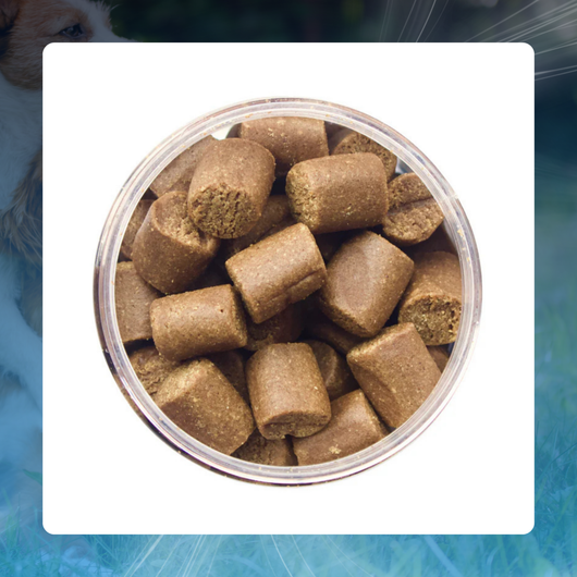 Anxiety Chews for Dogs