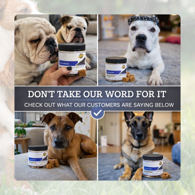 Anxiety Chews for Dogs