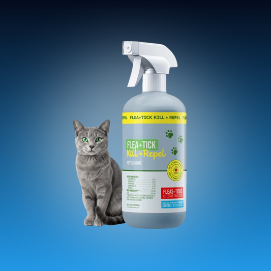 Plant Based Flea and Tick Spray for Cats and Home