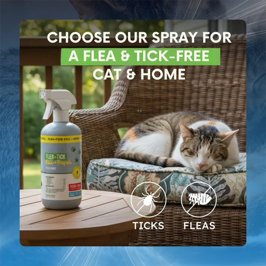 Plant Based Flea and Tick Spray for Cats and Home