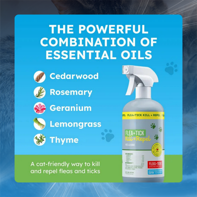 Plant Based Flea and Tick Spray for Cats and Home