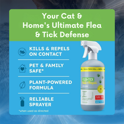 Plant Based Flea and Tick Spray for Cats and Home