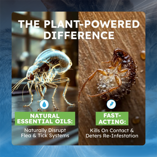Plant Based Flea and Tick Spray for Cats and Home