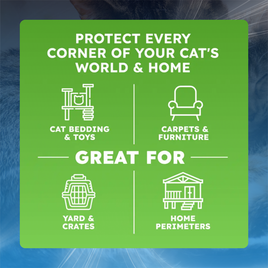 Plant Based Flea and Tick Spray for Cats and Home