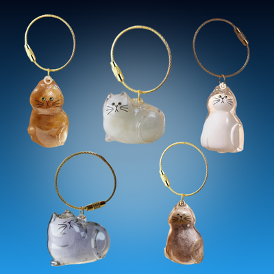 Cat Fur Memory Charm