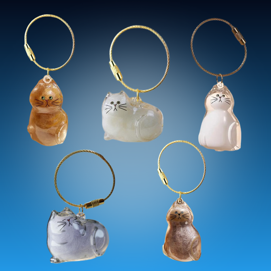 Cat Fur Memory Charm