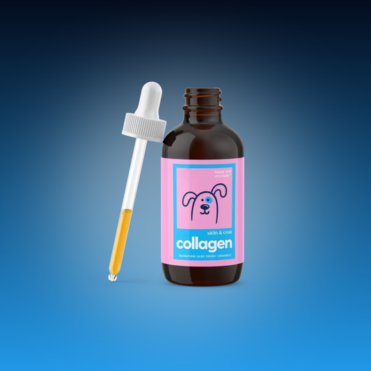 Skin & Joint Collagen Drops for Dogs & Cats