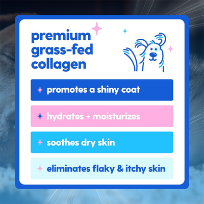 Skin & Joint Collagen Drops for Dogs & Cats