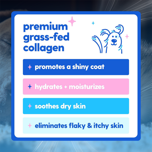 Skin & Joint Collagen Drops for Dogs & Cats