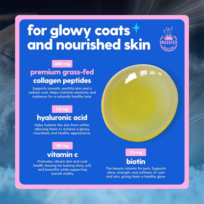 Skin & Joint Collagen Drops for Dogs & Cats