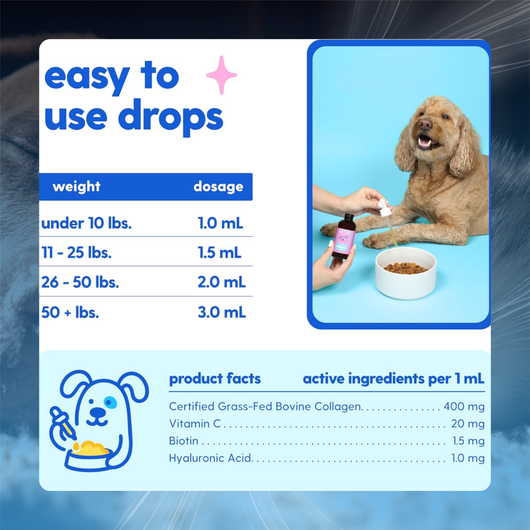 Skin & Joint Collagen Drops for Dogs & Cats