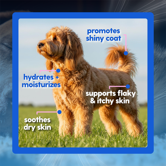 Skin & Joint Collagen Drops for Dogs & Cats