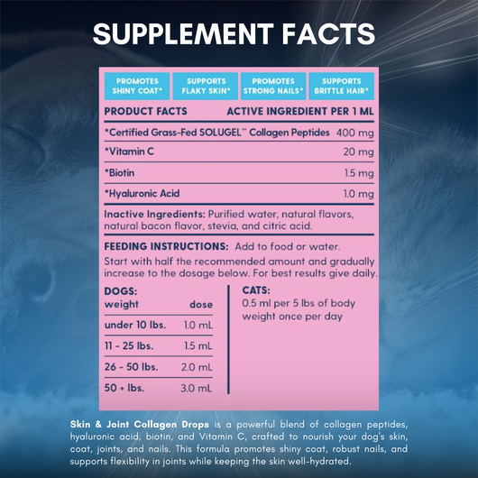Skin & Joint Collagen Drops for Dogs & Cats