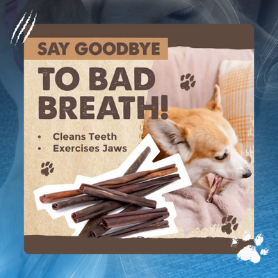 Natural and Digestible Collagen Dog Sticks