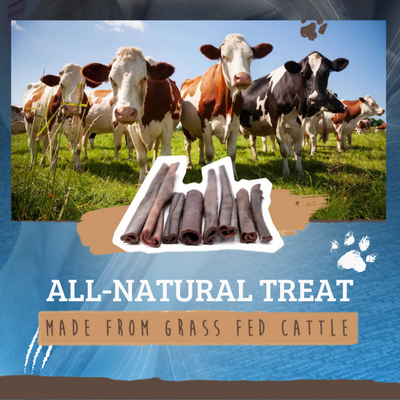 Natural and Digestible Collagen Dog Sticks